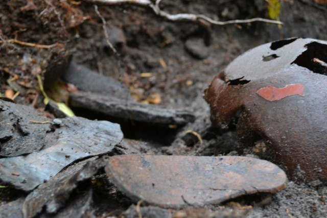 Sztutowo. Resztki butów znaleziono w lesie niedaleko Muzeum Stutthof