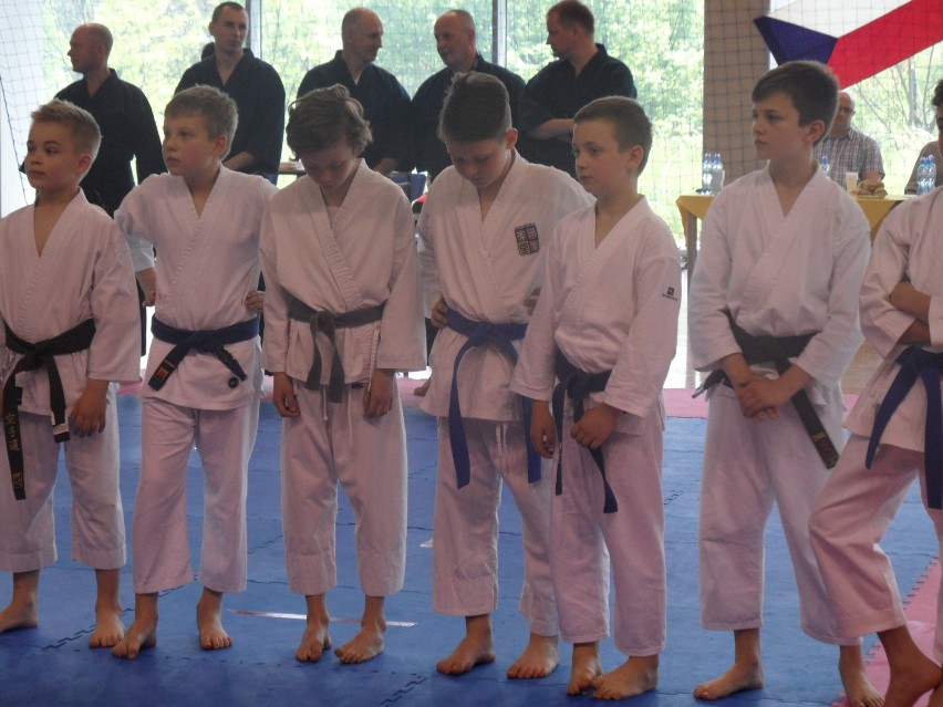 Bytom: Silesia Cup 2016 karate. Mistrzostwa Śląska