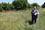 Mieszkanka wsi pod Oleśnicą od ponad dwudziestu lat walczy o działkę 