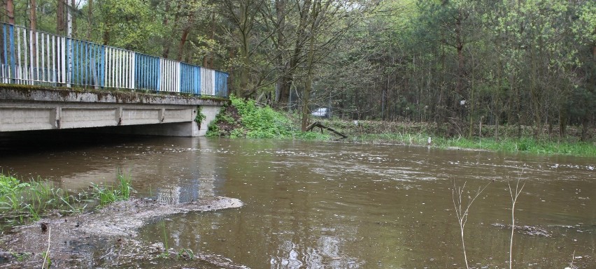 Powiat ostrowski: Powódź w Mariaku. Mieszkańcy walczyli o dobytek [ZDJĘCIA]