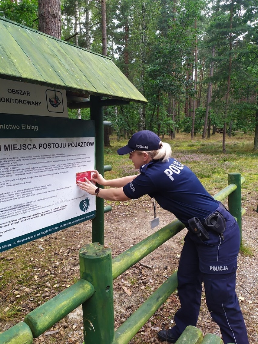 Lasy na Mierzei Wiślanej - wspólna akcja nadleśnictwa i nowodworskiej policji