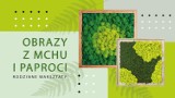 Warsztaty z tworzenia ekologicznych obrazów z mchu i paproci w Rzeszowskim Domu Kultury