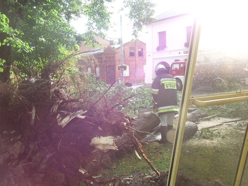 Burza i silny wiatr znów siała spustoszenie w gminie Żarnowiec [ZDJĘCIA]