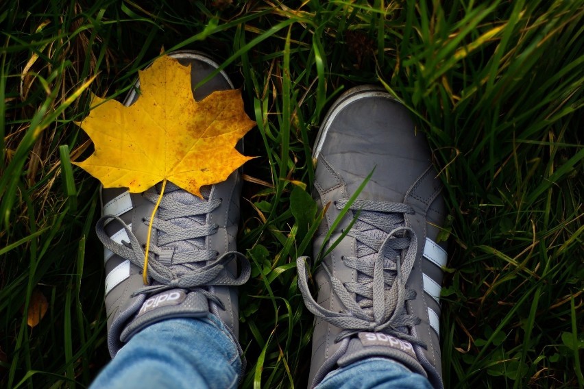 Ryż także uratuje Twoje buty po jesiennym i mokrym spacerze....
