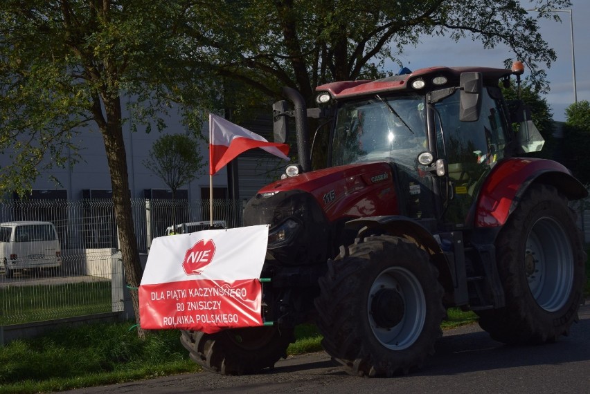 Powiat Gniezno. Blisko 60 ciągników wyjechało w miasto w ramach protestu przeciwko „piątce dla zwierząt” [FOTO, FILM]