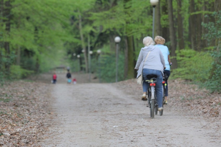 Aktualne dane epidemiologiczne z rejonu powiatu złotowskiego z dnia 1 maj 2020