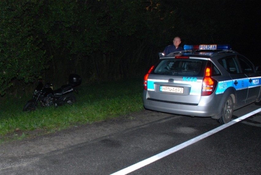 Swarożyn: motocyklista zderzył się z... łosiem. Ranny trafił do szpitala [ZDJĘCIA]