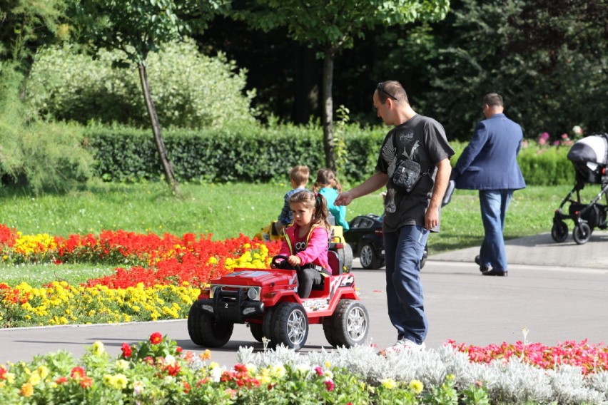 Rodzinna niedziela w parku w Kazimierzu