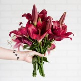 Znaczenie kwiatów, czyli jak wyrazić uczucia za pomocą roślin. Poznaj symbolikę 10 popularnych kwiatków