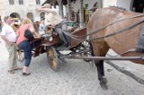 Końskie taxi chce walki z szarą strefą w Kazimierzu Dolnym