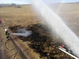 Wiosna dopiero do nas zapukała, a strażacy już odnotowują pierwsze pożary traw oraz gałęzi na działce