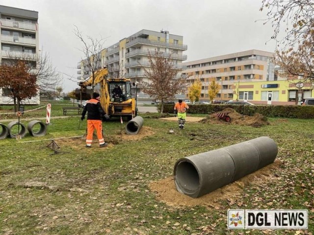 W Parku Słonecznym na Koperniku w Głogowie będzie plac zabaw dla psów