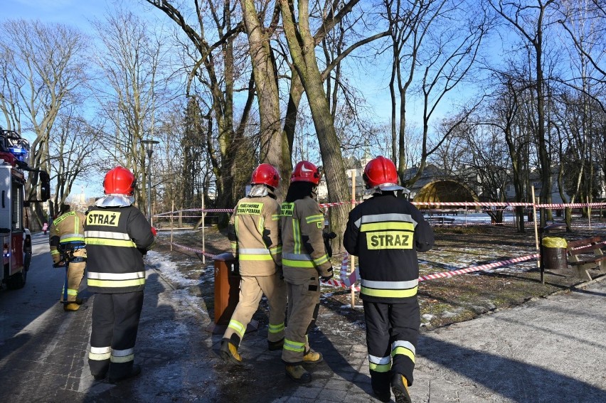 W parku miejskim w Kielcach przechyliło się drzewo. Było niebezpiecznie. W akcji strażacy [ZDJĘCIA, WIDEO]