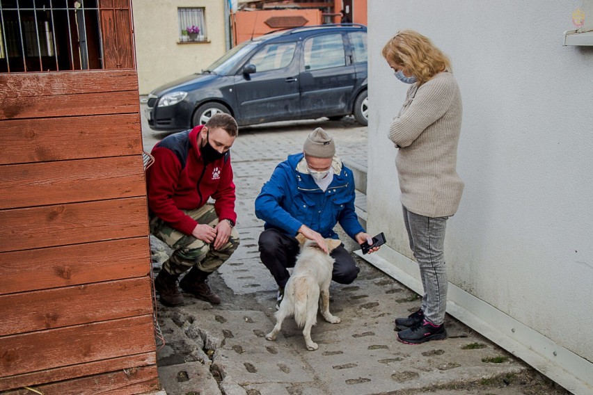 Wielki dar dla schroniska w Starogardzie Gdańskim ZDJĘCIA