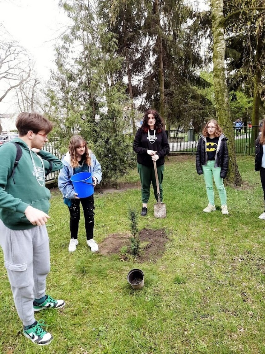 Licealiści posadzili kolejne drzewo w ramach Międzynarodowego Dnia Ziemi