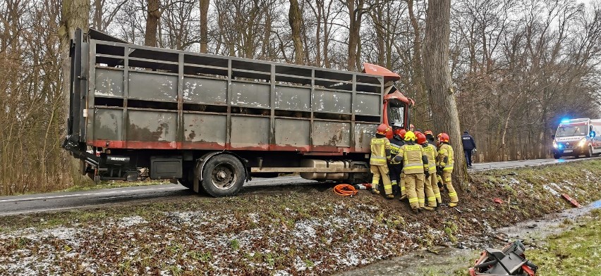 Wypadek w Borzęciczkach. Pasażera ciężarówki zabrał śmigłowiec LPR [ZDJĘCIA]        