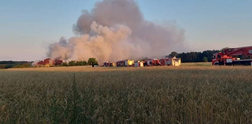 W poniedziałek wieczorem, 4 lipca, w domu w Rejnie (gmina...