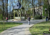 Jaślanie wyszli z domów. Zobacz, jak dziś wyglądał Park Miejski [ZDJĘCIA]