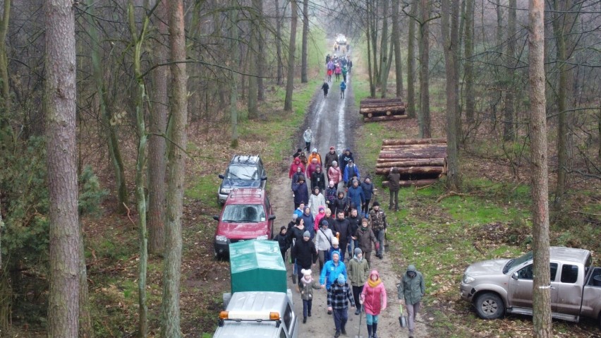 Sadzili las pod okiem leśników z Nadleśnictwa Durowo. Zobacz zdjęcia z akcji  