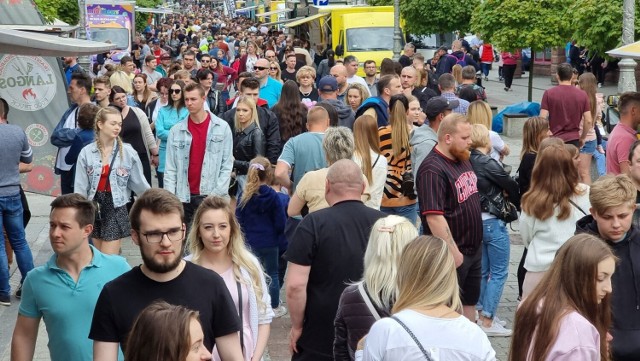 Ogromne tłumy w niedzielę na Street Food Festiwal w Kielcach.