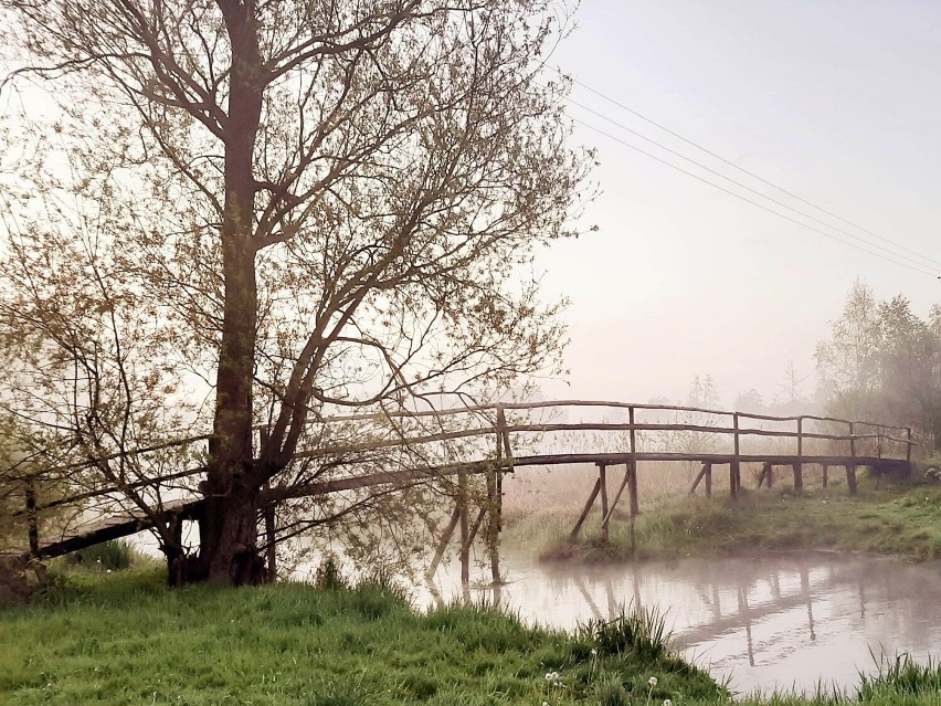 Prace nagrodzone i wyróżnione w XVI Konkursie Fotograficznym...