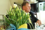 W Chrzypsku Wielkim zakwitły tulipany papieskie [WIDEO]