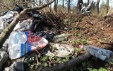 Struga Toruńska w okolicach Bukowej mocno zaśmiecona. Czy miasto planuje posprzątać teren?