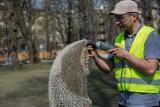 Park Krakowski: plenerowe rzeźby odzyskują... łuski, a na trawnikach zakwitły cebulice [ZDJĘCIA]