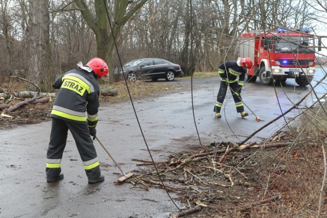 Od rana strażacy interweniowali już kilkanaście razy.