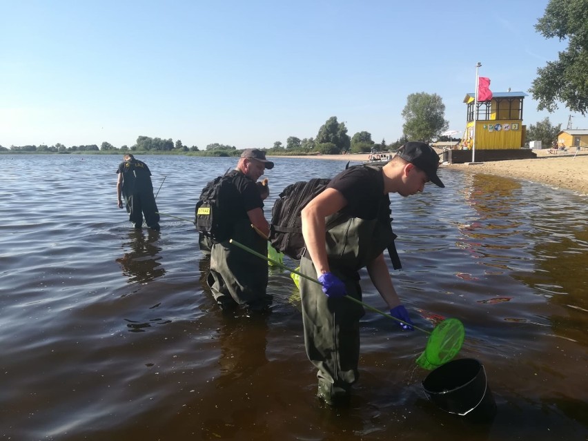 Plaża zamknięta przez cały weekend? W Lubczynie czekają na wyniki badań