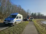 W gminie Chełmża auto uderzyło w drzewo. Kierująca trafiła do szpitala