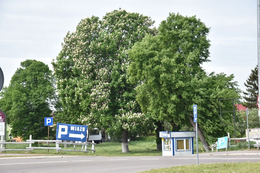 Malbork. Działka w Kałdowie wróciła do miasta. Przedsiębiorca wydał ją na mocy sądowego postanowienia