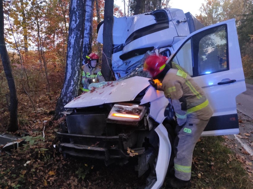 Wypadek w Dąbrowie Górniczej. Dziki wybiegły na drogę, samochód dostawczy wjechał w drzewo