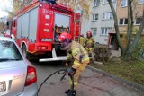 Pożar mieszkania w Poznaniu. Rodzina tuż przed świętami straciła cały dobytek