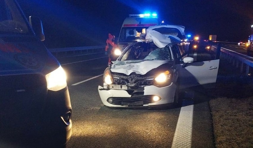 Niebezpieczny wypadek na autostradzie A4. Samochód osobowy zderzył się z łosiem!
