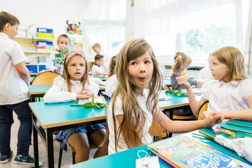 Na jakich warunkach uczniowie wrócą do szkół? Sprawdźcie w...