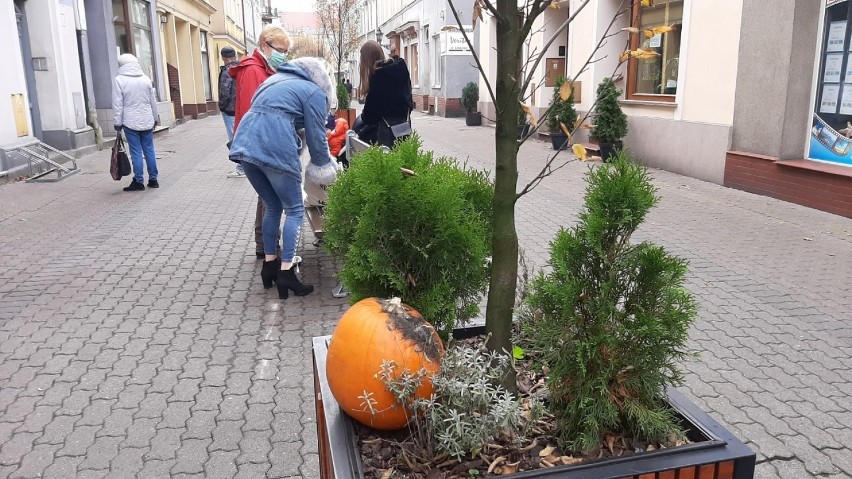 Czy kwitnie życie na leszczyńskiej starówce?