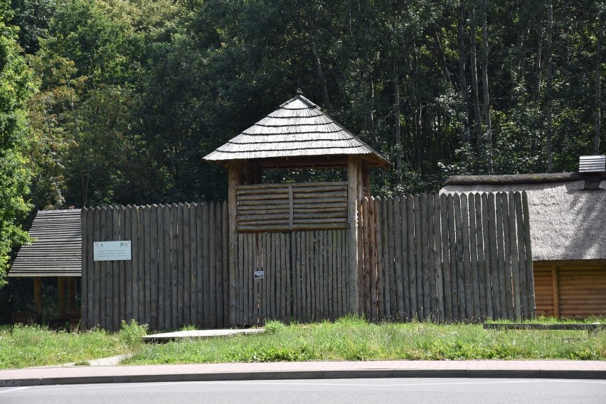 Jeszcze przed charakterystyczną bramą do Arboretum Bramy...