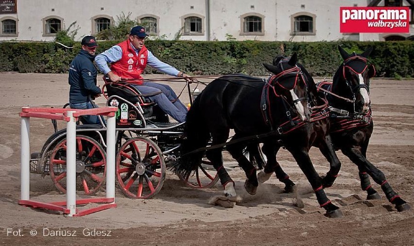 W Książu odbędą się Międzynarodowe i Krajowe Zawody w Powożeniu oraz Mistrzostwa Polski w Powożeniu Zaprzęgami Czterokonnymi