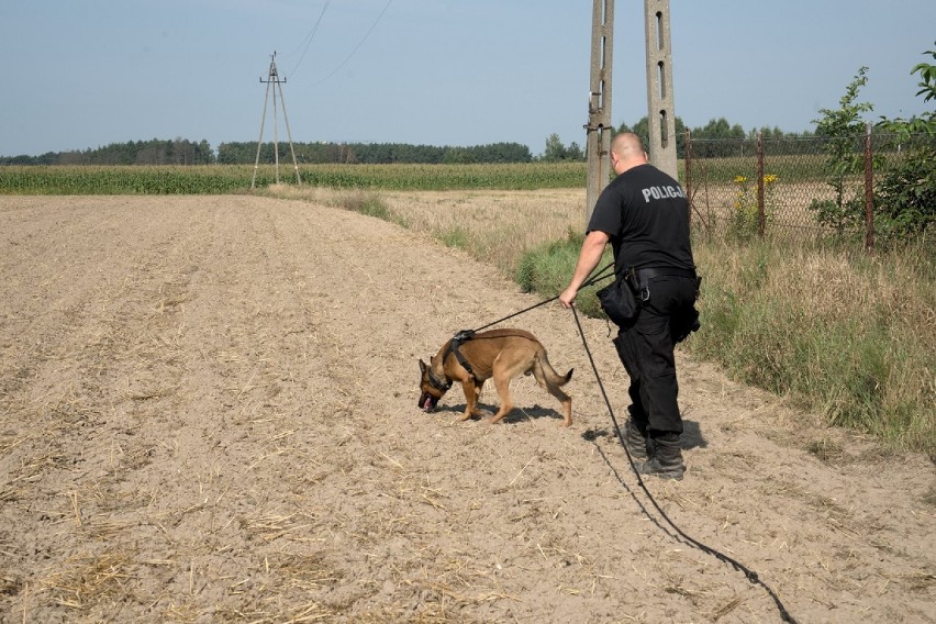 Policyjny pies Pako wraz z opiekunem z Rypina na podium Eliminacji Wojewódzkich do XVIII Kynologicznych Mistrzostw Policji [zdjęcia]