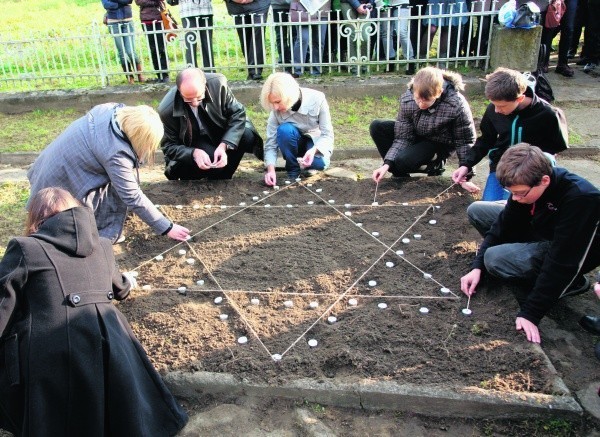 Krokusy zasadzono przy pomniku żydowskich ofiar nazizmu