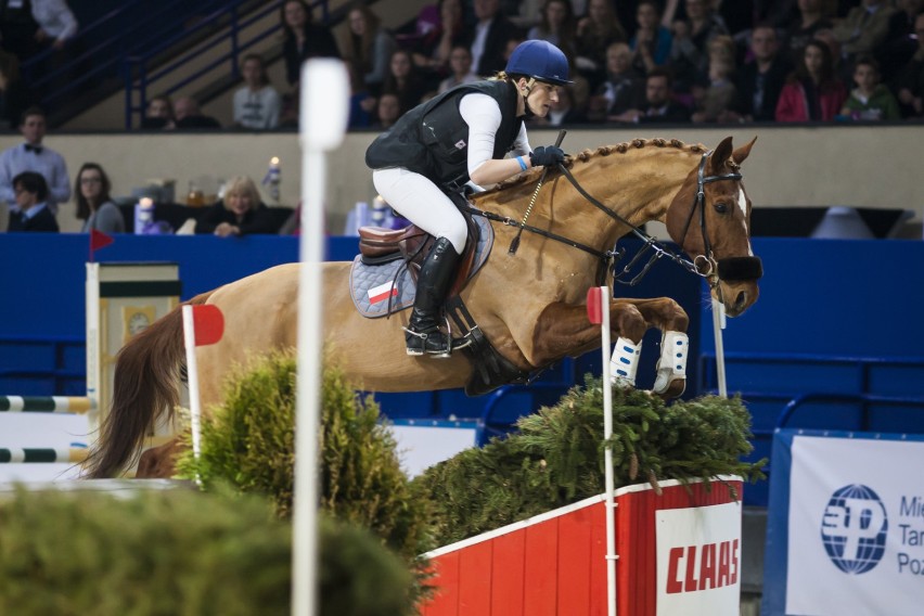 Cavaliada 2017, Warszawa. Najlepsi jeźdźcy i piękne konie...