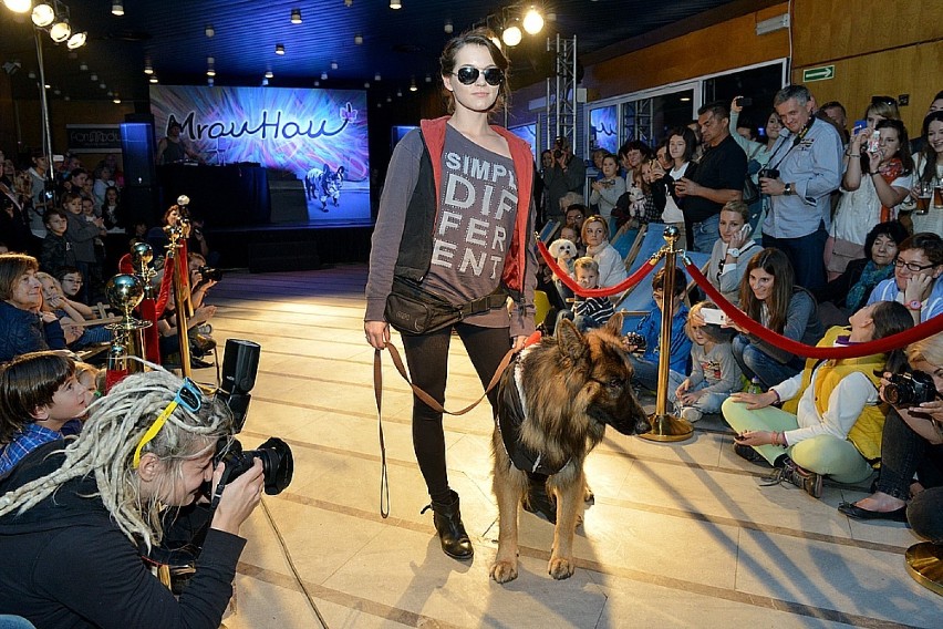 Pokaz psiej mody w Krakowie
