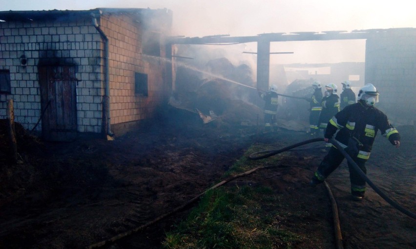 Ogromny pożar w miejscowości Ciemnoszyje. Na miejscu wciąż pracują strażacy. Straty szacowane są na milion złotych [AKTUALIZACJA]