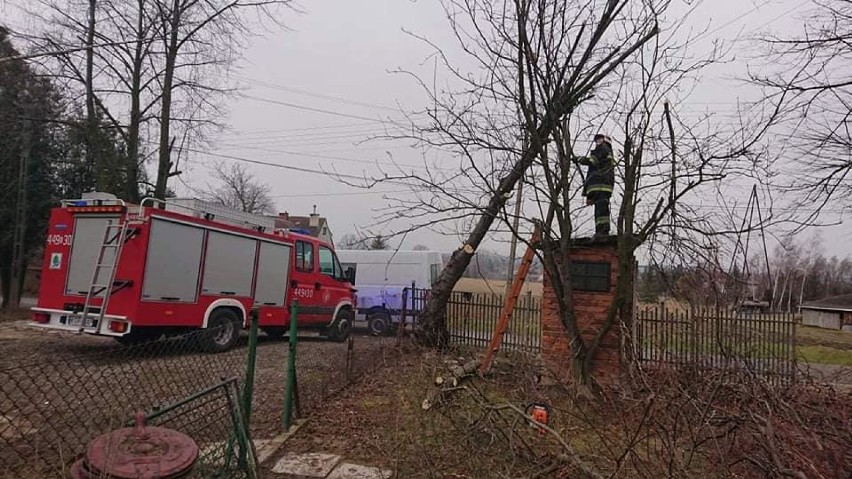 Ponad dwadzieścia uszkodzonych dachów i 40 wiatrołomów - efekt wichur, które przeszły nad regionem