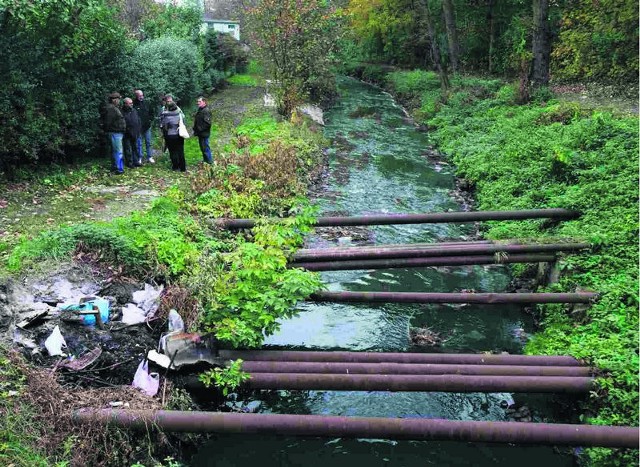 Zatruta Bolina od lat utrudnia życie mieszkańcom dzielnicy Piasek