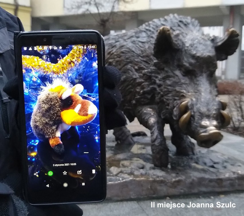 Konkurs „Świątecznie w Świdnicy”. Wybrano najpiękniejsze fotografie. ZOBACZ!