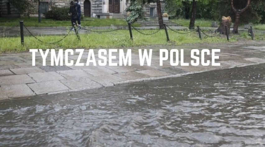 Ładną mamy jesień tej wiosny... Zobacz najlepsze memy o tym, co dzieje się za oknem 