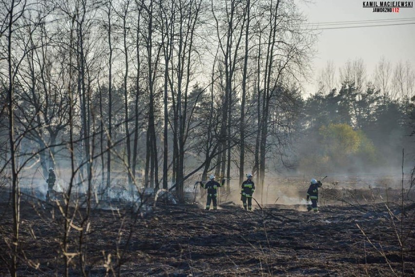 Działania trwały kilka godzin