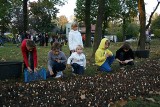 Świętochłowice: W Przedszkolu Miejskim nr 1 sadzono jesienią cebulki tulipanów. Oto efekty!
